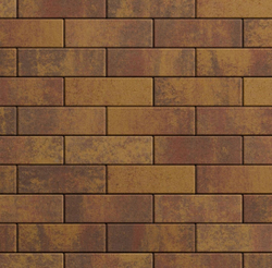 Тротуарная плитка ПРЯМОУГОЛЬНИК 300х100 мм - Листопад гладкий Осень