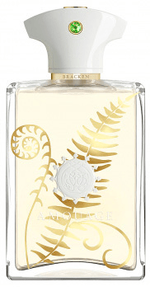 Amouage Bracken Man