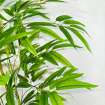 Искусственное растение Бамбук 120см в техническом кашпо