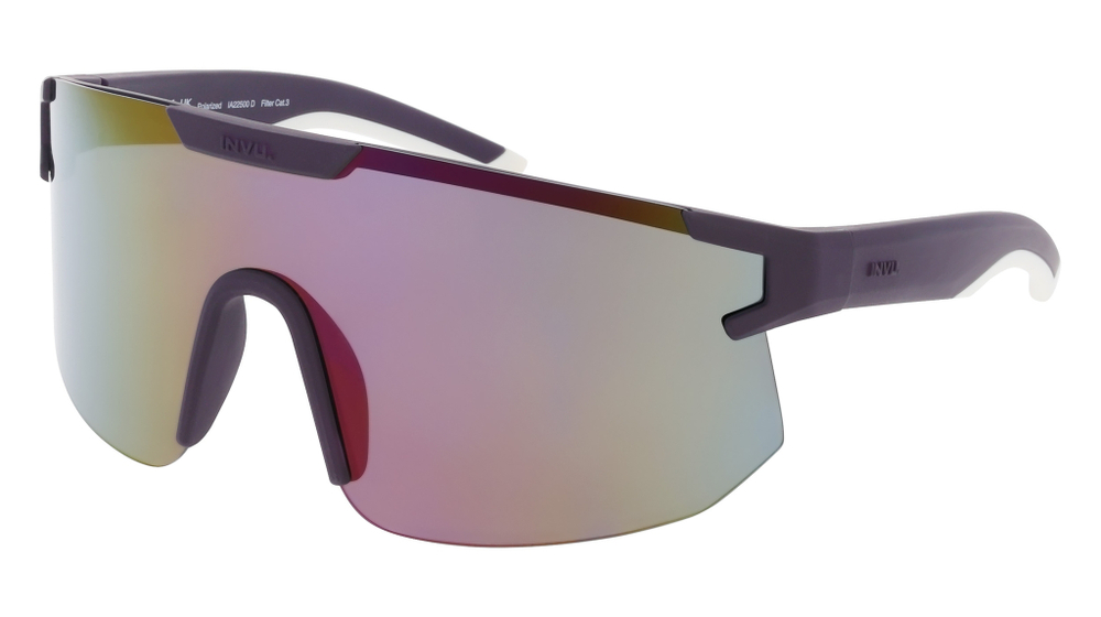 Очки солнцезащитные INVU IA22500D