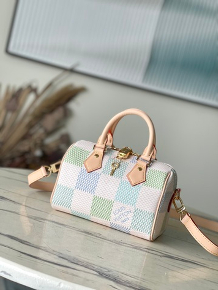 Louis Vuitton Speedy 20