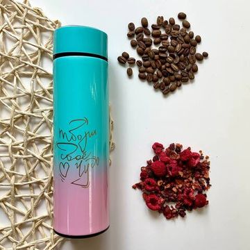 Термос Supreme, c термометром, 450 мл, сохраняет тепло 8 ч, 23 х 6,5 см