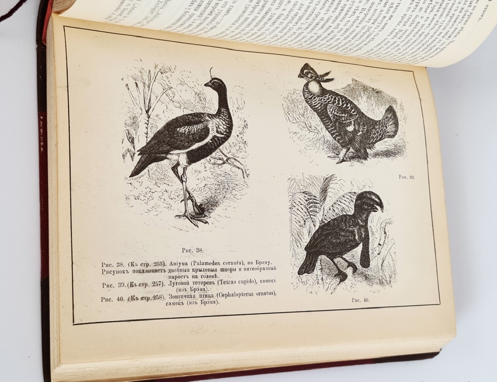 "Собрание сочинений.  В четырех томах."  Ч.Р.Дарвин. 1901 г.