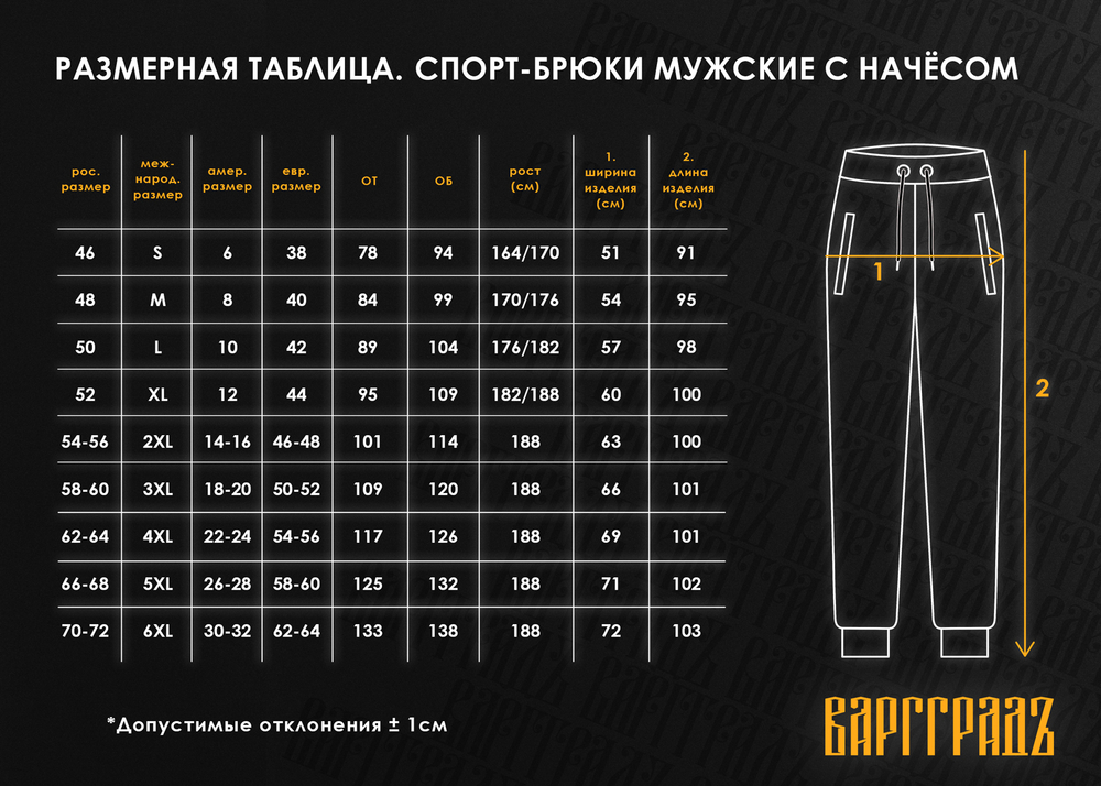 Спорт-брюки Варгградъ мужские тёмно-синие "Оттиск Солнца" с начёсом