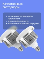 Осветитель Raylab D-Light светодиодный с софтбоксом 50*70см