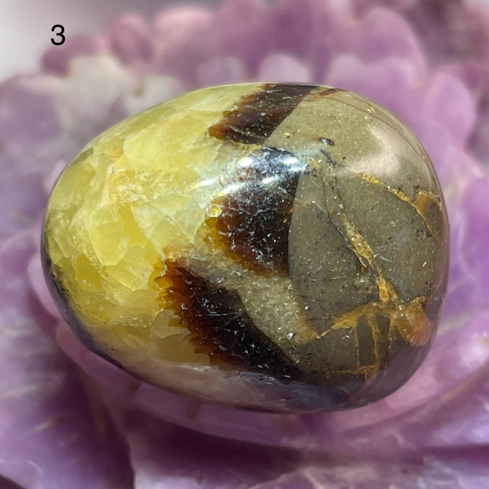 43128 Септария Галтовка 28-33мм