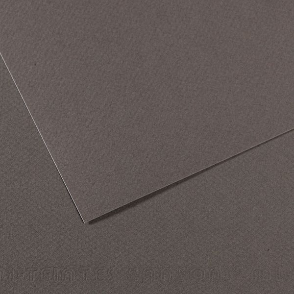 Бумага для пастели Mi-Teintes 160 г/м², 75х110 см, 10 л, №345 Серый темный, Canson, C31032S146