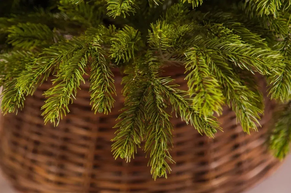 Ель Коттеджная 260 см., литая хвоя+пвх, TreeDeLux (70075)