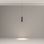 Трековый подвесной светильник Technical TR041-2-12W4K-B