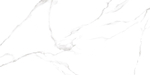 Alma Ceramica Carrara GFU60120CRR00R 60x120