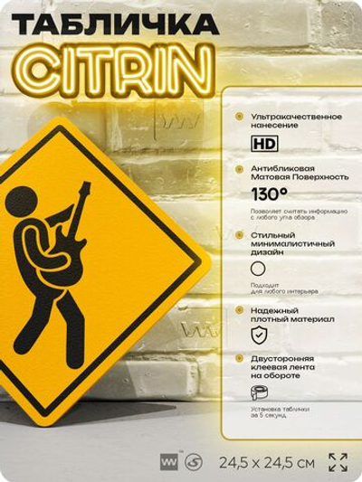 Табличка декоративная "Гитарист" на дверь и стену, информационная, декоративный знак, 24,5х24,5 см, пластиковая, Айдентика Технолоджи
