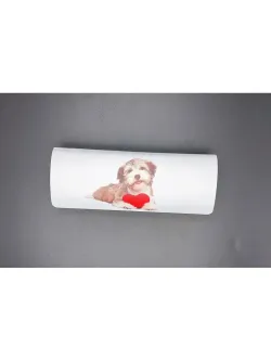 Футляр для очков