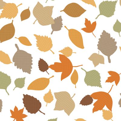 Leaves in autumn palette