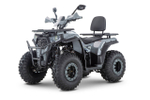Квадроцикл Gladiator G200