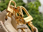 Louis Vuitton Multi Pochette Accessoires