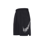 Шорты Nike Dry Flex Logo, CJ2393-010