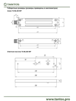 Замок электромагнитный TS-ML500-WP