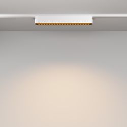 Трековый магнитный светодиодный светильник Maytoni Radity   TR084-1-12W3K-W