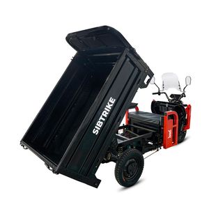 Грузовой электрический трицикл WHITE SIBERIA SIBTRIKE CARGO 1.6 2000W (60V/55Ah) фото №12