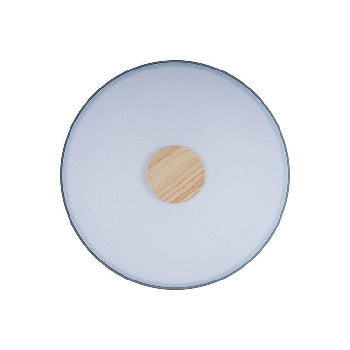 Потолочный светодиодный светильник Loft IT Axel 10003/24 grey