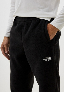 Брюки спортивные мужские THE NORTH FACE M TNF FLEESKI PANT