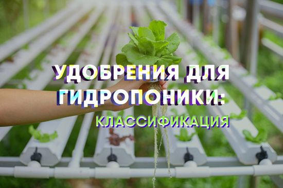 Удобрения для гидропоники: классификация