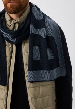 Шарф мужской BOSS Lamico_Scarf 10250876 01