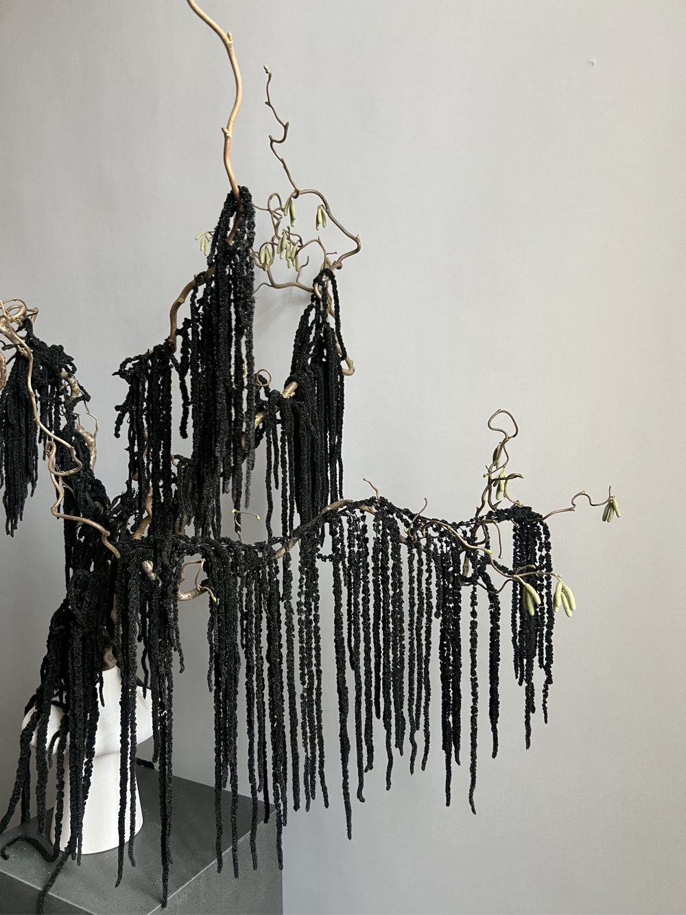 Амарант стабилизированный черный