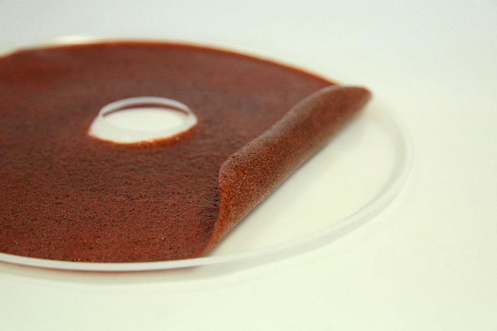 Поддон для пастилы (электросушилка Беломо)