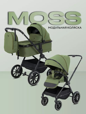 Коляска модульная Rant Moss 2025 Olive