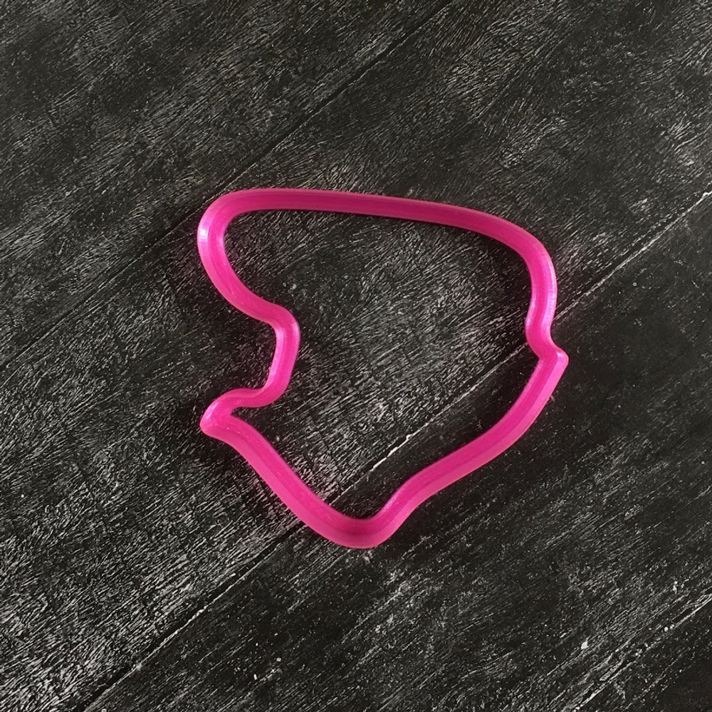 Тюльпаны №21