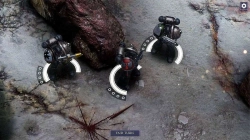 Warhammer 40,000: Deathwatch (диск для PS4, интерфейс и субтитры на русском языке)