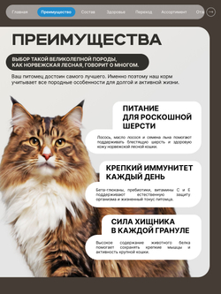 Корм сухой для взрослых кошек породы Норвежская лесная, с лососем, 400 гр, QUATTRO