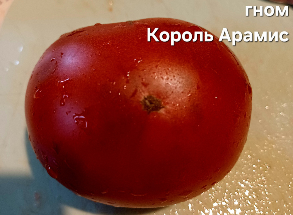ГНОМ КОРОЛЬ АРАМИС