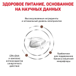 Royal Canin корм сухой для взрослых кошек при нарушениях пищеварения