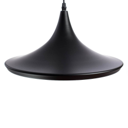 Подвесной светильник Arte Lamp A3406SP-1BK