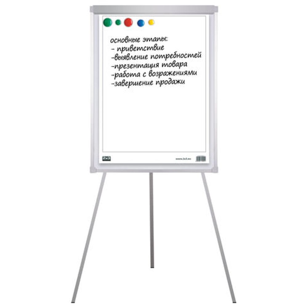 Блокнот для флипчарта "2х3" ("Дважды три", Польша), 30 листов, чистый, 58х83 см, B02