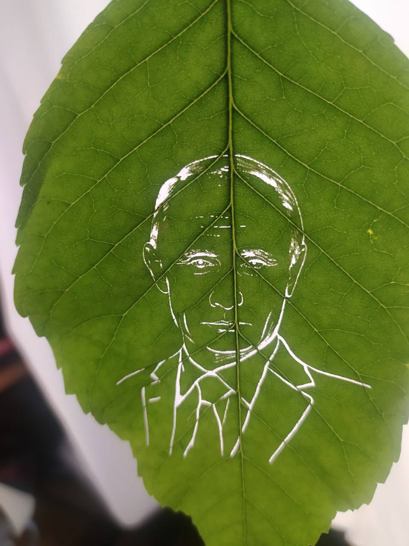 Лазерный станок вообще то мы поставили для индивидуальной гравировки деревянных шкатулок и резки всяких шкатулочек и декора из фанеры. Но почему бы не протестировать какие то новые материалы, картон, кожу например или ➡️➡️➡️  Листочек. Листок от дерева.