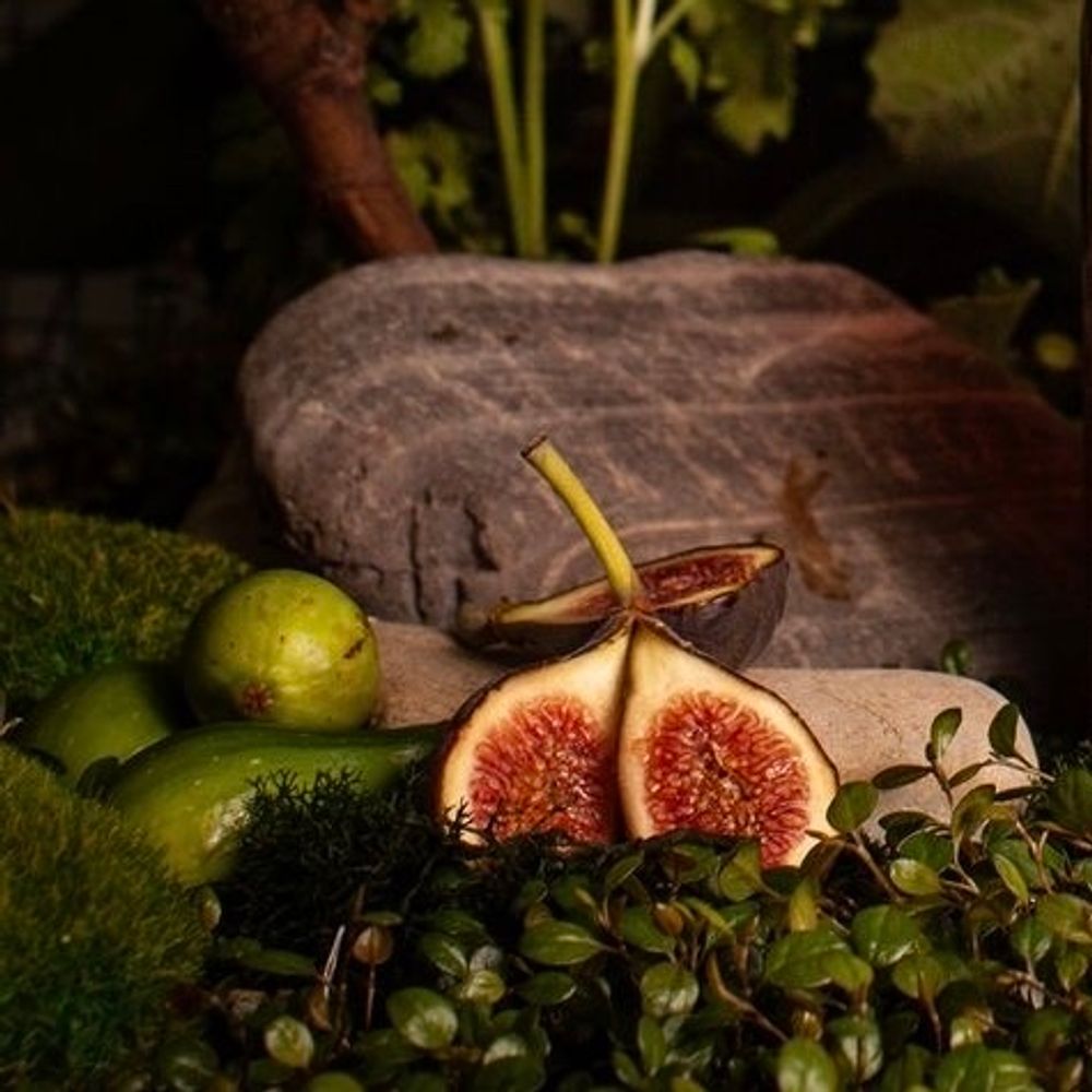 Ароматизатор Fig Leaves &amp; Sandalwood (Листья Инжира &amp; Сандал)