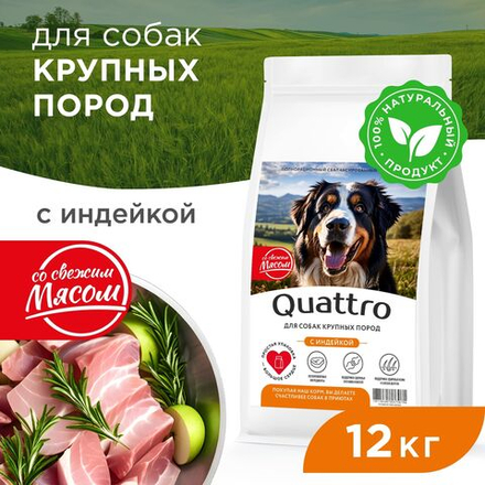 Корм сухой для взрослых собак крупных пород, премиум полнорационный сбалансированный, с индейкой, 12 кг, QUATTRO