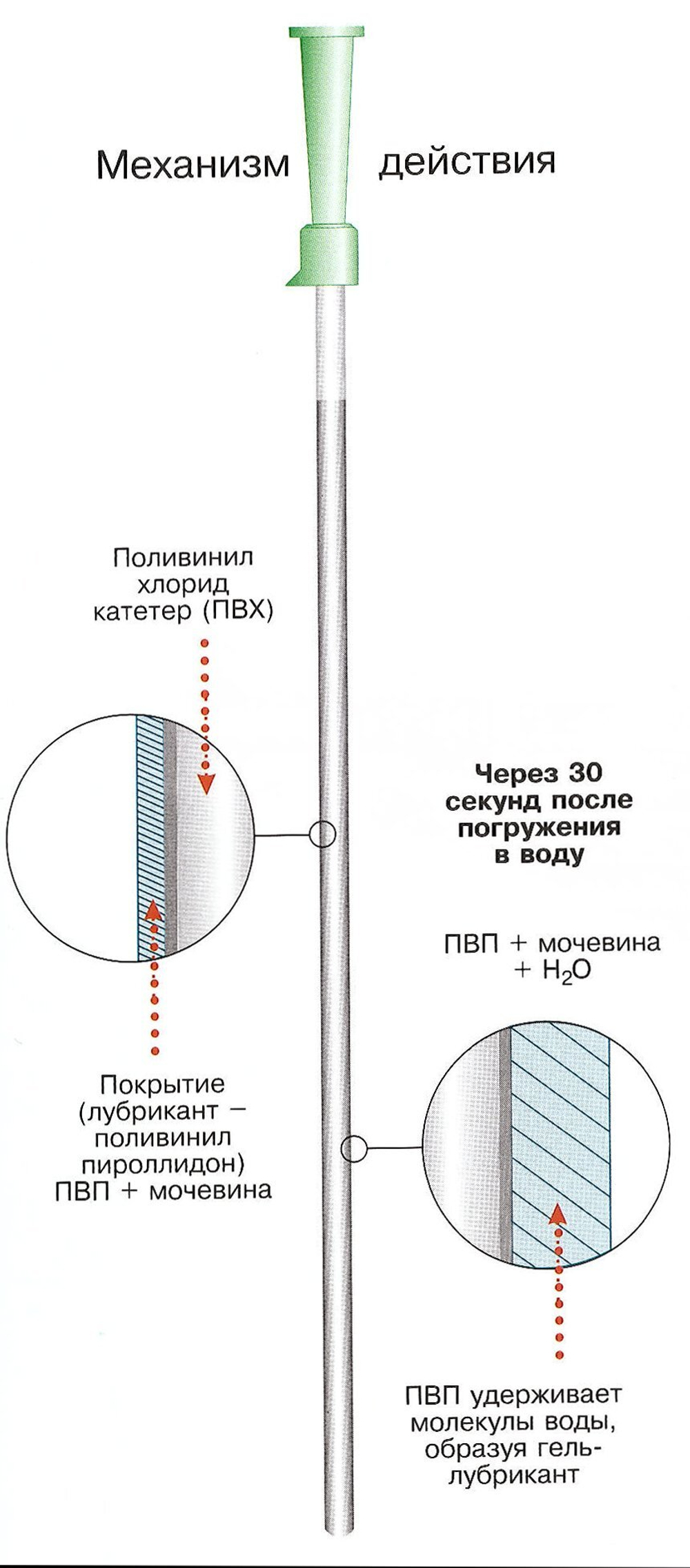 Катетер Нелатон Coloplast (Колопласт) EasiCath, мужской (5350-5358)