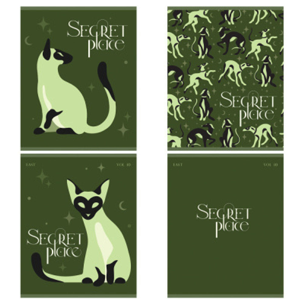 Тетрадь 48л., А5, клетка BG "Secret Place", матовая ламинация, тис