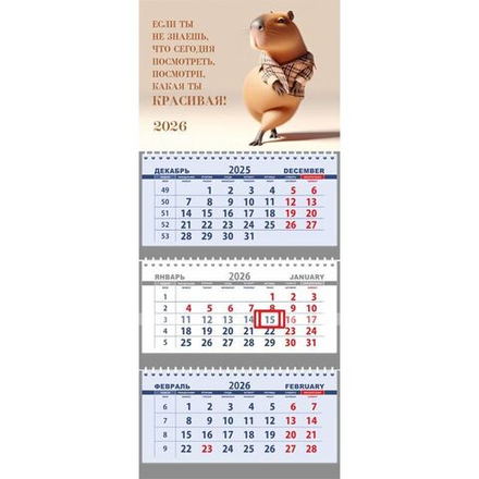 Календарь Трио 295*700мм на 2026г. Посмотри, какая ты красивая!"
