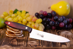 🏆Кухонный нож Alexander M PRO AUS-8 Red G10