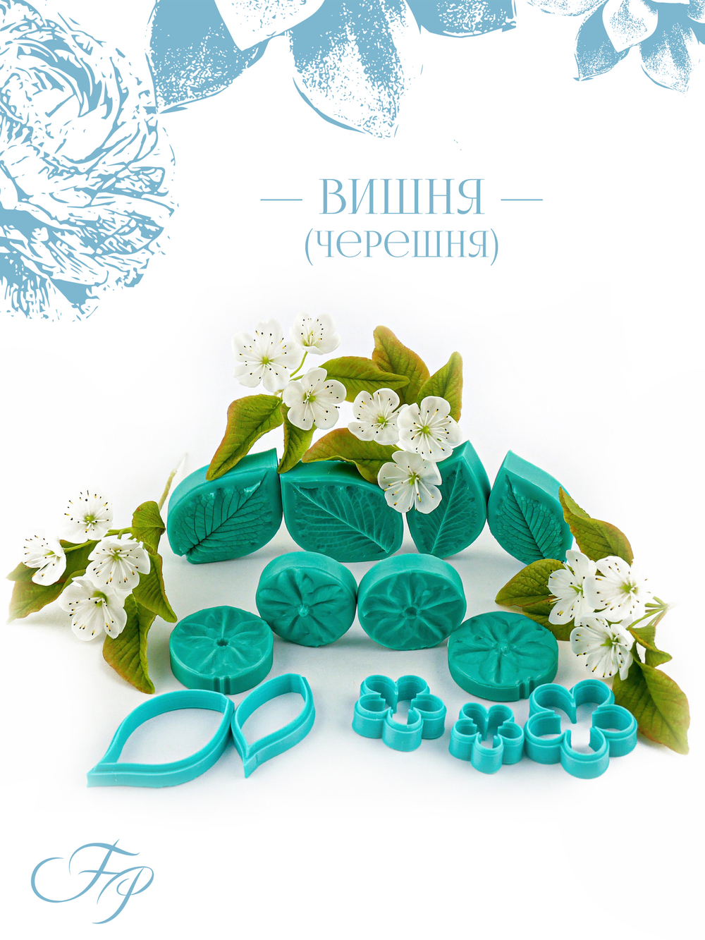 Вишня (черешня)