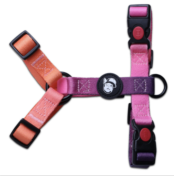 ШЛЕЙКА LION PETS РОЗОВО-ОРАНЖЕВЫЙ ГРАДИЕНТ