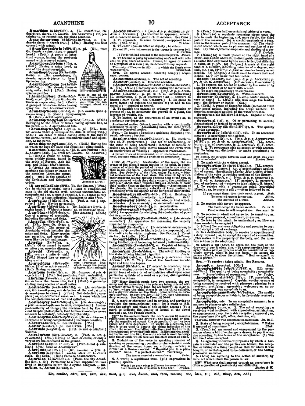 Webster's International Dictionary of the English Language : being the authentic edition of Webster's unabridged dictionary, comprising the issues of 1864, 1879, and 1884. Part II | Noah Webster