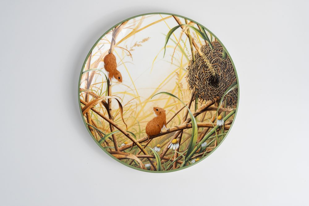 Декоративная коллекционная тарелка «Мыши-полевки и их гнездо» из серии «Портреты природы Джеффа Роллинсона» («Rollinson's Portraits of Nature»)