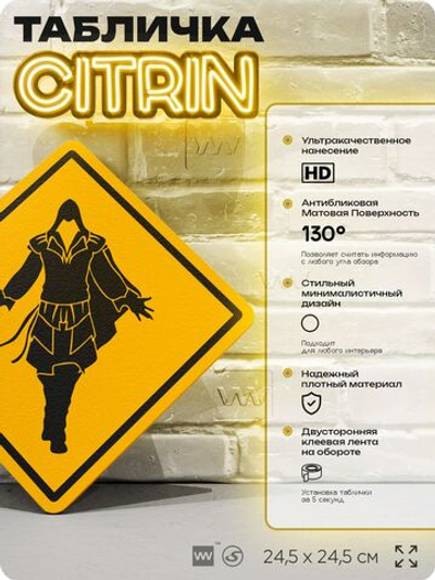 Табличка декоративная "Assassin s Creed" на дверь и стену, прикольная штука в подарок геймеру, декоративный знак, 24,5х24,5 см, Айдентика Технолоджи