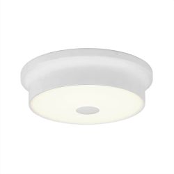 Citilux Фостер-2 CL706210 LED Светильник с диммером Белый